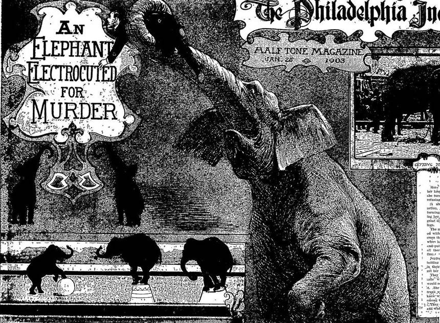 January 4, 1903 Electrocuting an&nbsp;Elephant