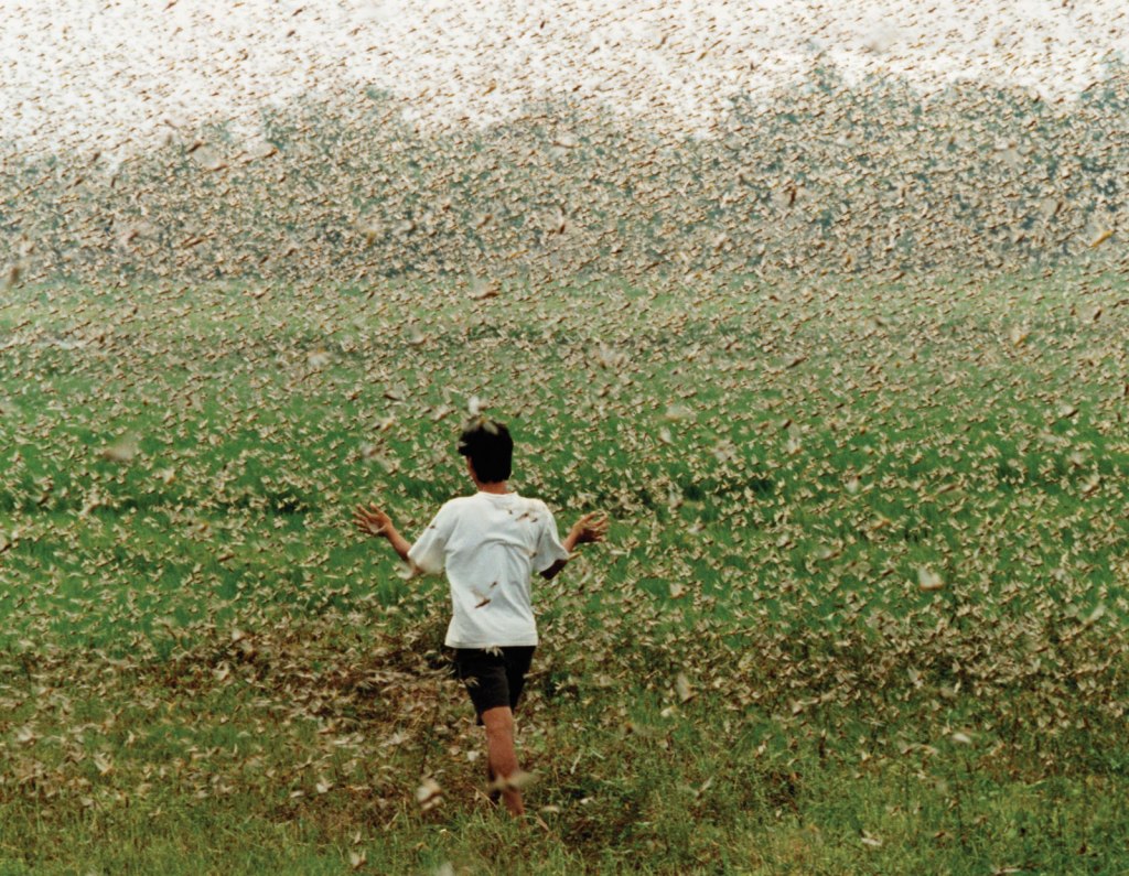 October 20, 1937 The&nbsp;Swarm