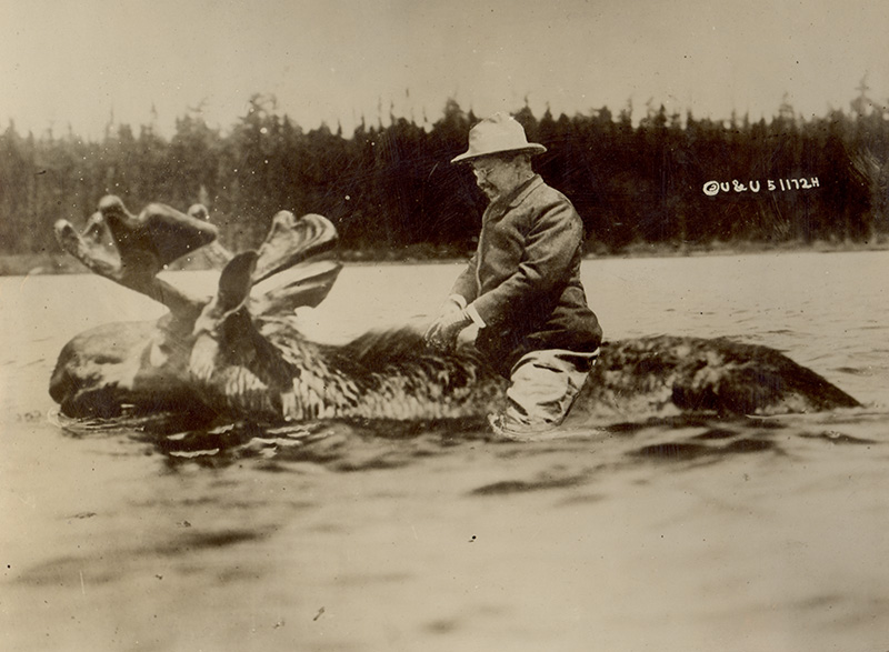 October 14, 1912  To Kill a Bull&nbsp;Moose