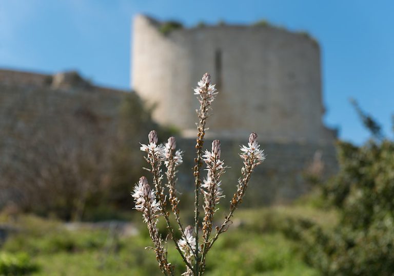 January 11, 1693 Feeling&nbsp;Puny?