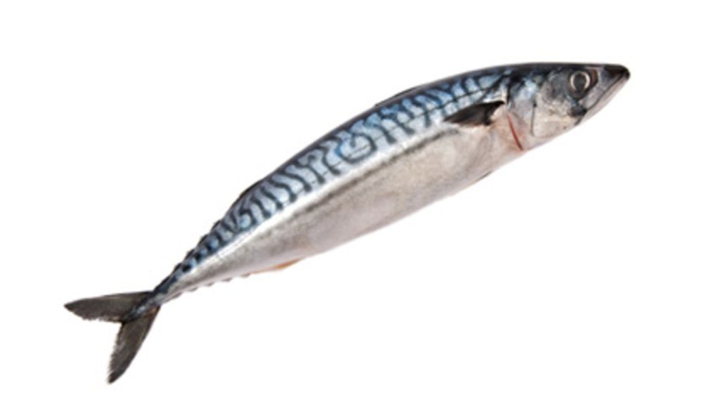 April 16, 1933  A Fish&nbsp;Story