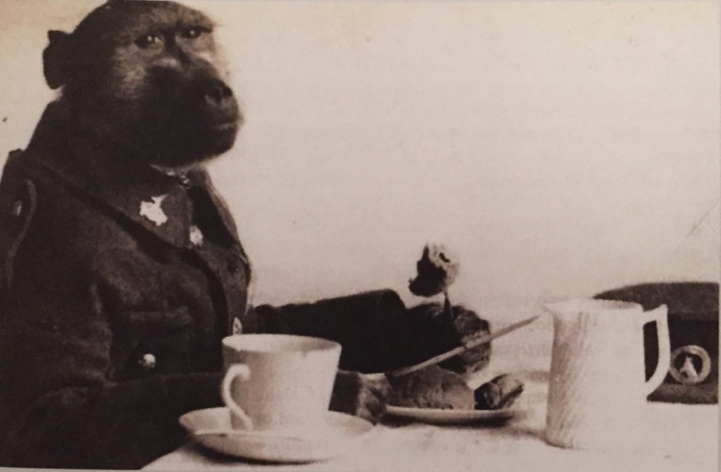 July 31, 1920&nbsp;Jackie