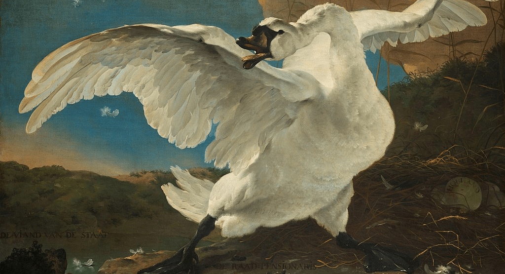 The Troubled Swan