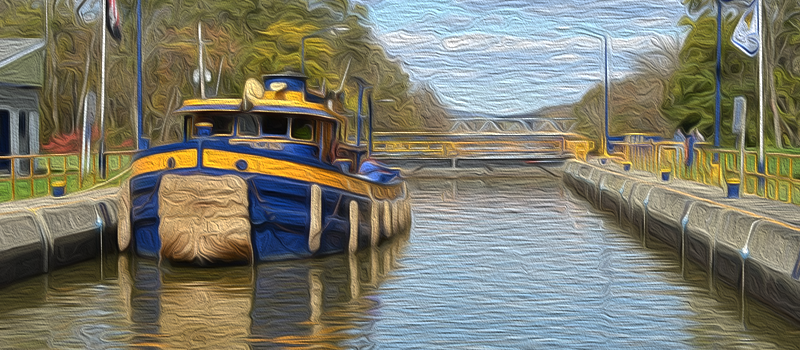 I’ve Got an Old Mule, Her Name Is&nbsp;Sal…