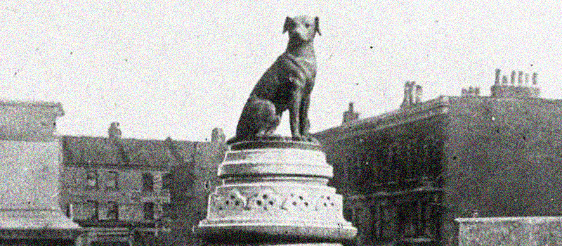 The Brown Dog&nbsp;Riots